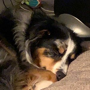 Meet your Posher, Angie